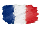 french flag très petit